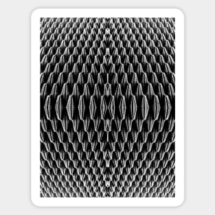 Stylish pattern in black & white Sticker